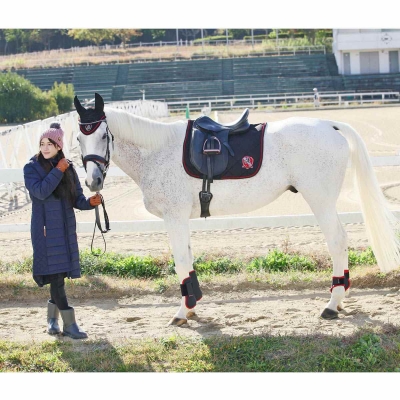 【特価商品】EQULIBERTA プロト プロテクター(前後左右4肢セット) E Amazon.co.jp: 乗馬 プロテクター プロト プロテクター（前後左右4肢