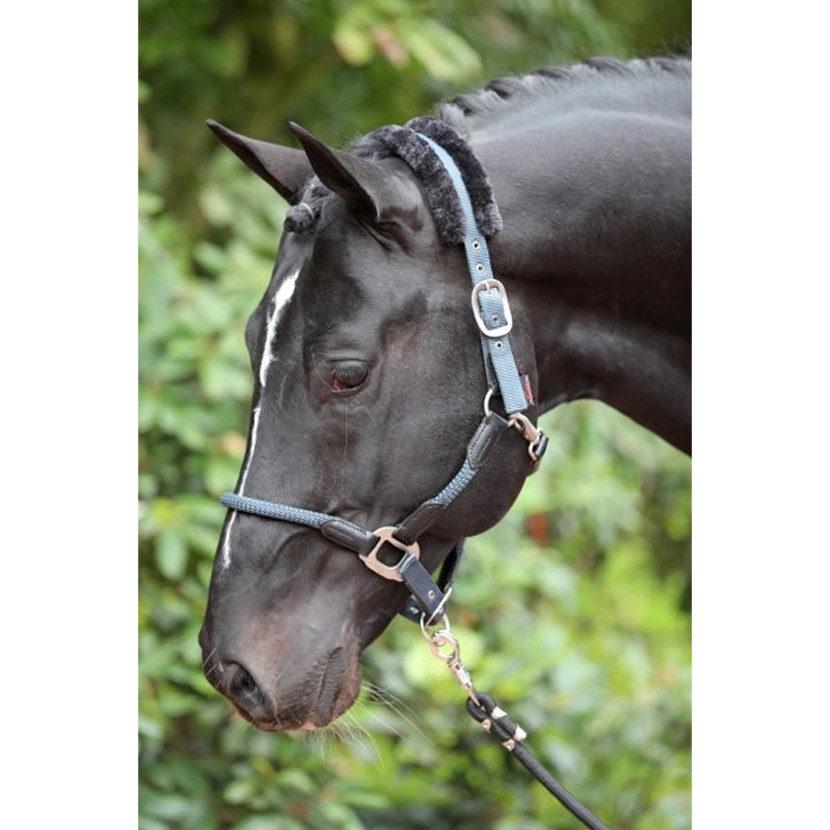 Covalliero　カバリエロ　グルーミングバッグ　乗馬　馬術 jodhpurs_ke-ha-32977